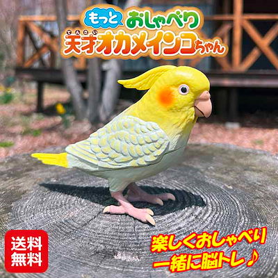 トップ オカメインコ お気に入り おもちゃ