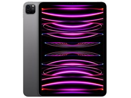 iPad Pro 11インチ 第4世代 Wi-Fi 2TB 2022年秋モデル MNXM3J/A [スペースグレイ]
