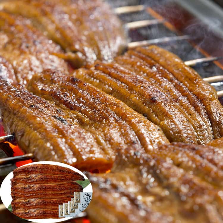 生産 者限定 宮崎県産 うなぎ蒲焼 長焼800g（160g5尾） 離島は配送不可 8480007 お歳暮 お中元 お土産 ご進物 ギフト 贈り物に最適