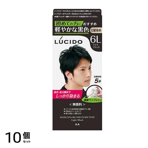 LUCIDO(ルシード) ワンプッシュケアカラー 6L ライトブラック 1個 10個セット