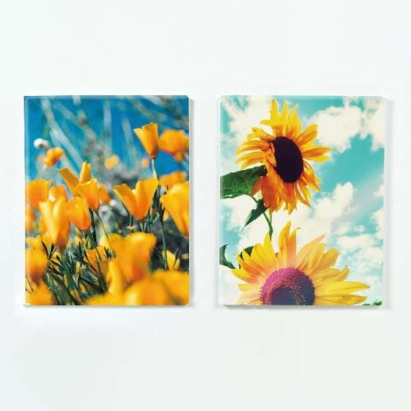 ファブリックパネル アートフレーム 飾り 情景 ナチュラル 壁掛け ウォールデコレーション 自然 緑 ひまわり 向日葵 青空 おしゃれ 映える 芸術 2枚セット