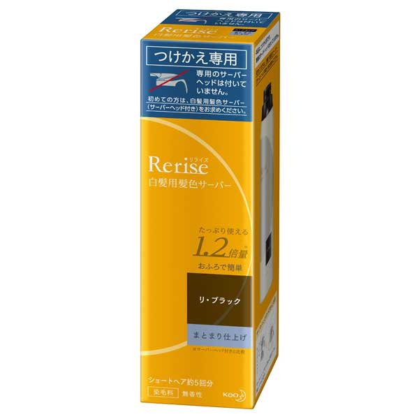 リライズ 白髪用髪色サーバー リ・ブラック まとまり仕上げ 本体 付け