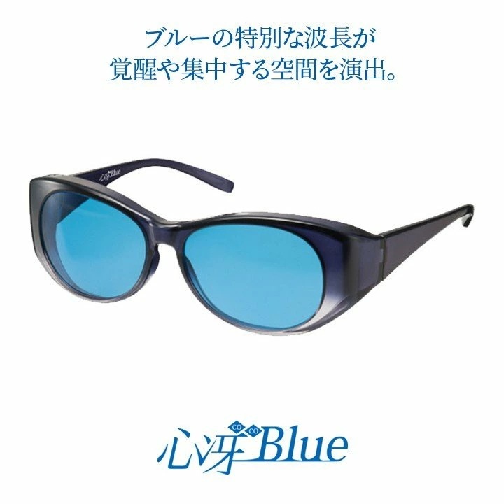 サングラス レディース おしゃれ UVカット 紫外線カット 東海光学 美 sche ビスチェ 女性用 眼鏡 リフトアップ 側頭筋 ケース