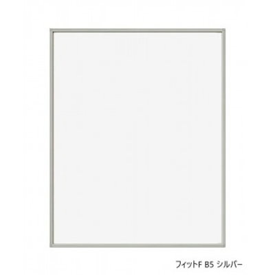 他サイト： A.P.J. フィットF B5 シルバー 0020171337の商品画像