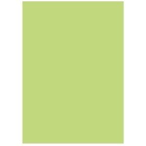 (業務用5セット) 北越製紙 カラーペーパー/リサイクルコピー用紙 A5 500枚10冊 日本製 グリーン(緑)
