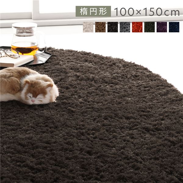 洗える シャギーラグ 約R100x150cm 楕円形 ブラウン ホットカーペット対応 床暖房対応 オールシーズン すべり止め付き
