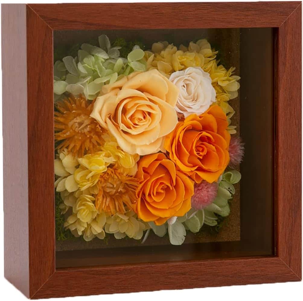 Ruplan プリザーブドフラワー 『fleur de mur フルール・ドゥ・ミュール』 (オレンジ)