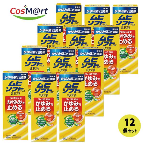 【12個セット】 【第3類医薬品】 【池田模範堂】ムヒソフトＧＸ乳状液　120ｍｌ (4987426002039-12)