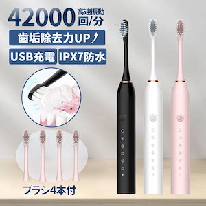 2点100OFF 即日発送 電動歯ブラシ 歯ブラシ 替えブラシ4本付き 子供 usb 充電式 本体 防水 人気 音波式 携帯 キッズ 強力 除去 ヘッド おしゃれ 子ども 最新 除菌 歯石除去 歯垢除