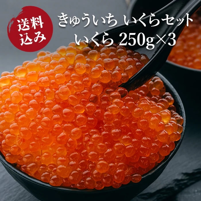 きゅういちいくらセット　いくら 250g×3 クール