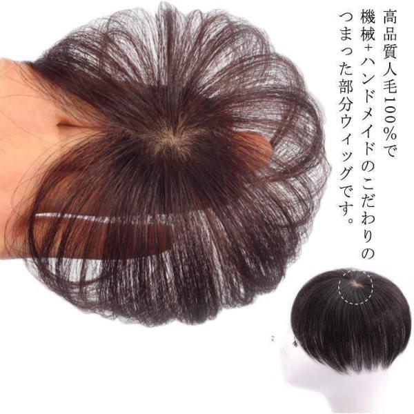 部分ウィッグ ポイントウィッグ 頭頂部カバー 白髪隠し ウィッグ 人毛 薄毛対策 トップカバー 長さ10cm 自然買い占め中 かつら 人毛 男女兼用 ヘアピース