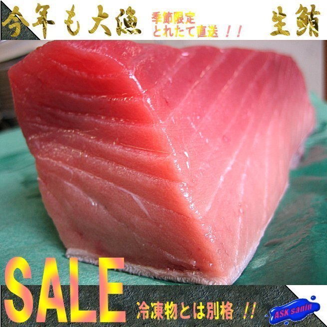 生まぐろ「中トロ1kg位」天然物（不定貫につき差額発生します) 山陰境港産（予約販売）