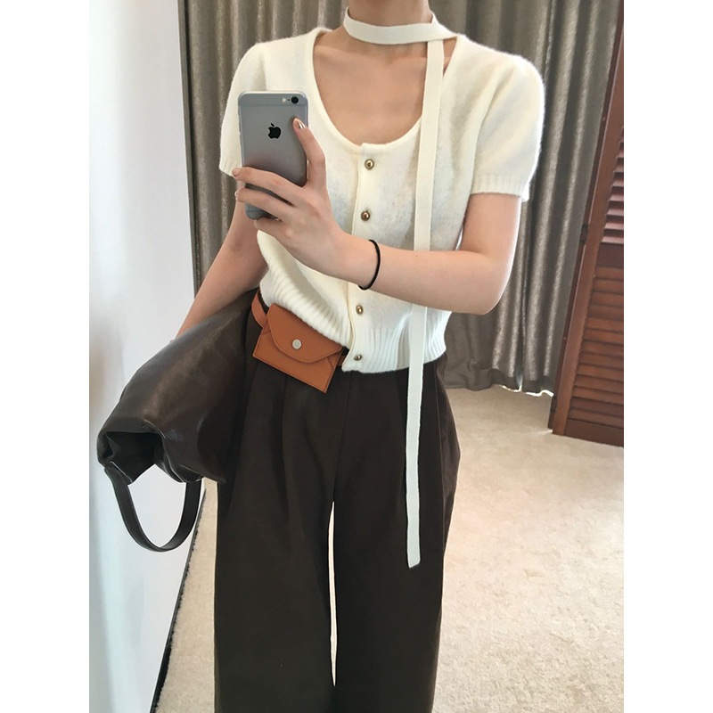 秋のぼりオーストラリアンウールセーター韓国風優しい半袖トップスa4304