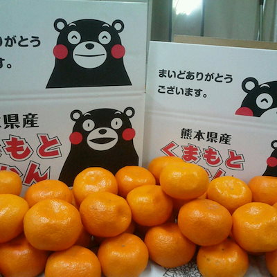 熊本県産　くまもとみかん 大容量　箱込15キロ　訳...のサムネイル