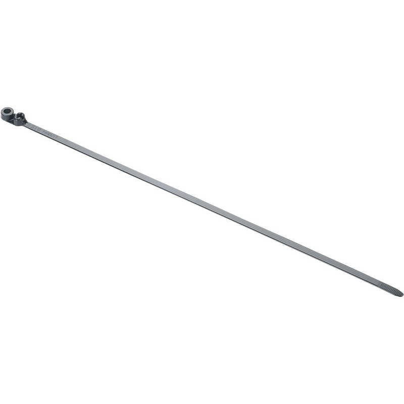 パンドウイット　パンドウイットネジ止めタイプステンレス爪ロック式結束バンド黒(250本入) 　BC4LHS25TL0 20,909円