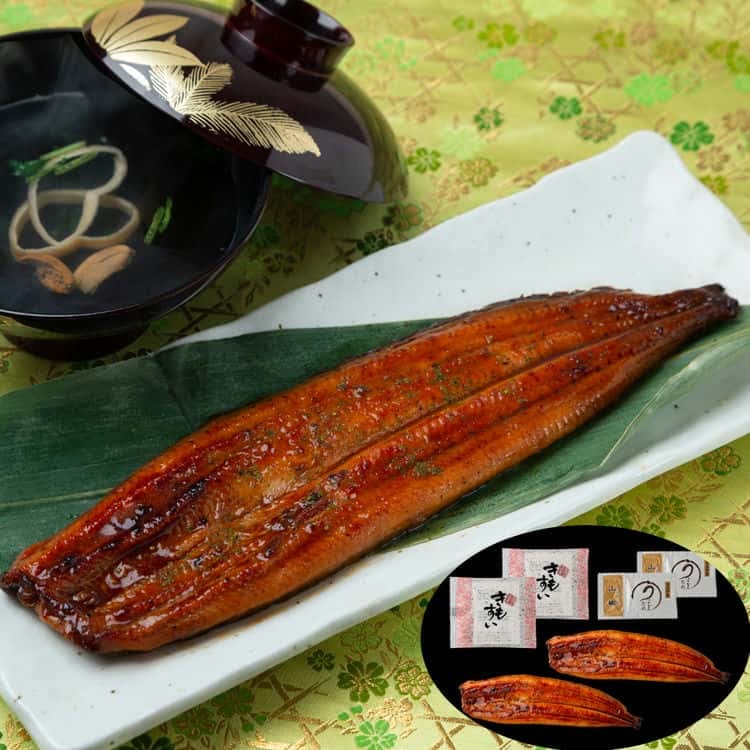 「山道養鰻場」 宮崎県産 うなぎ 2尾 計240g（肝吸付き ) 離島は配送不可 8480025 お歳暮 お中元 お土産 ご進物 ギフト 贈り物に最適