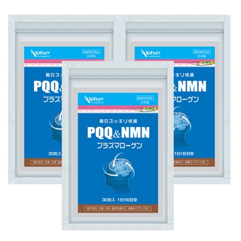 PQQ プラズマローゲン NMN 記憶力 集中力 サプリ お得な3袋セット 90日分