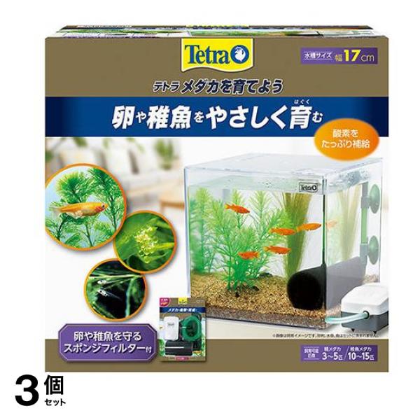 Tetra(テトラ) メダカを育てよう 1セット 3個セット