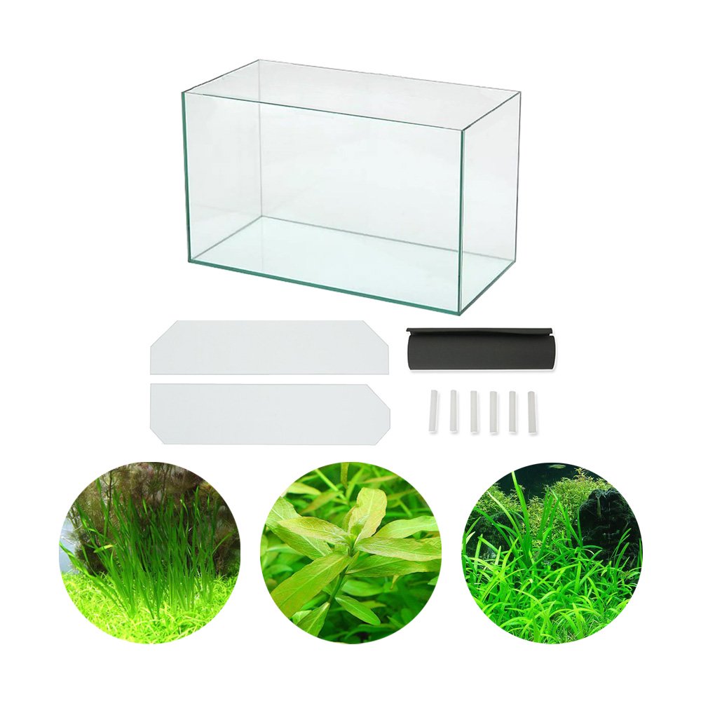 （熱帯魚）（水草）エーハイムＥＪ－６０（６０X３０X３６ｃｍ）＋初めての水草　３種　説明書付　本州四国限定　お一人様１点限り　ＣＲＣ10―11―03―10―40 5,568円