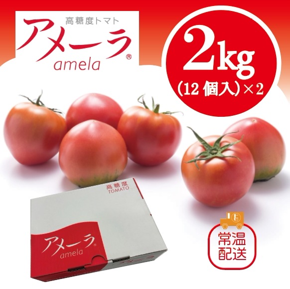 【再販決定！当店大人気商品！アメーラトマト！フルーツトマト　高糖度トマト】　豊洲市場より 6,299円