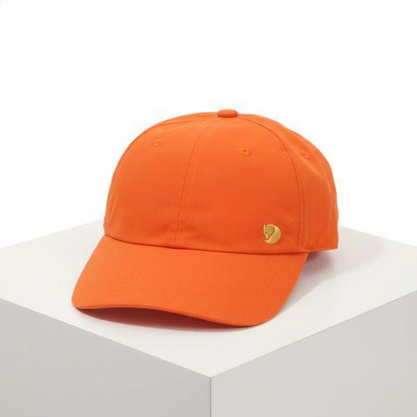 FJALLRAVEN製作 ベルグターゲン キャップ 77404208 BERGTAGEN CAP 825165
