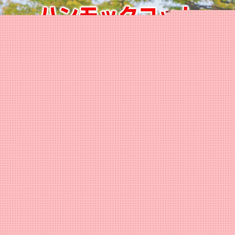 ハンモック 自立式 ハンモックチェア 軽量 折りたたみ コット レジャーベッド ハイコット ベンチ チェア 簡易ベッド キャンプ ベッド 昼寝 ソロキャンプ od512