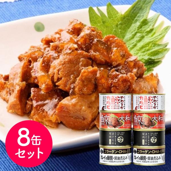 宮城 木の屋石巻水産 バラエティ缶詰8缶セット SISK