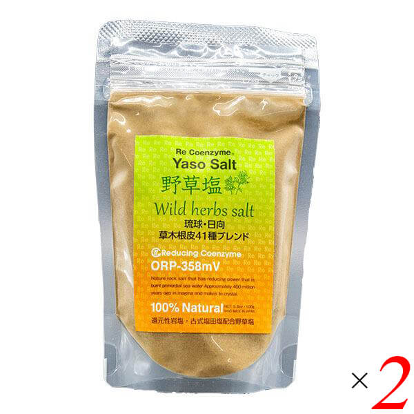 リリアン リ・コエンザイム 野草塩（詰替用）85g 2個セット
