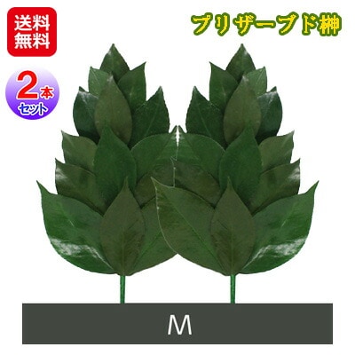 プリザーブド榊 Mサイズ(2本組) プリザーブドフラワー 仏花 榊 造花 日本製 水換え不要 花 お供え 丹波産の高級椿葉を使用した国産ブリザーブド榊！ sl