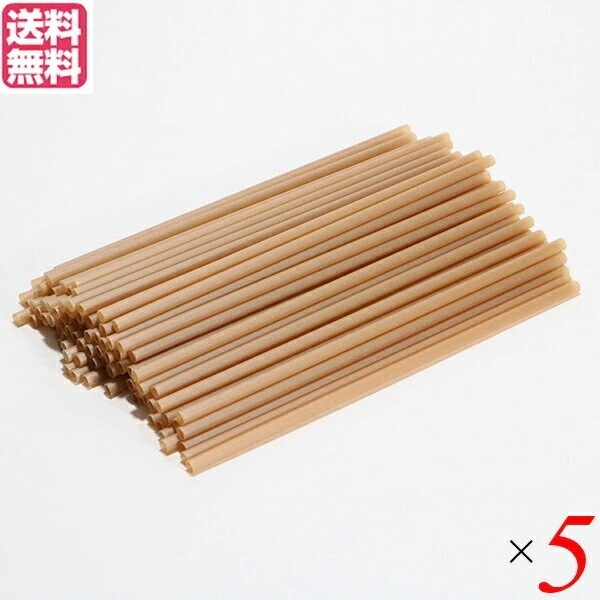 ストロー 業務用 エコ サトウキビストロー 6mm210mm 100本入 5袋セット