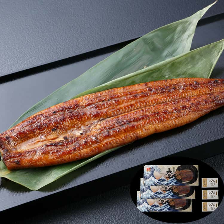 うなぎ問屋の大五鰻蒲焼 長蒲焼3尾セット(計360g) 離島は配送不可 8480027 お歳暮 お中元 お土産 ご進物 ギフト 贈り物に最適