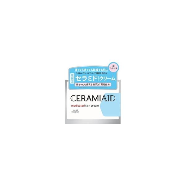 【10個セット】セラミエイド 薬用スキンクリーム 140g