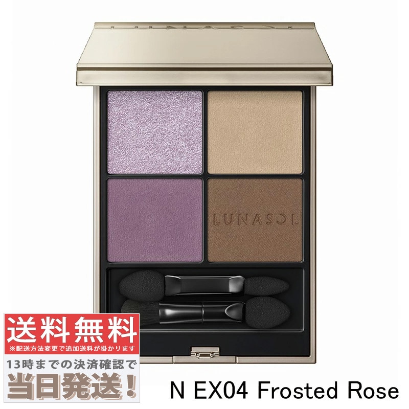 アイカラーレーションN#EX04