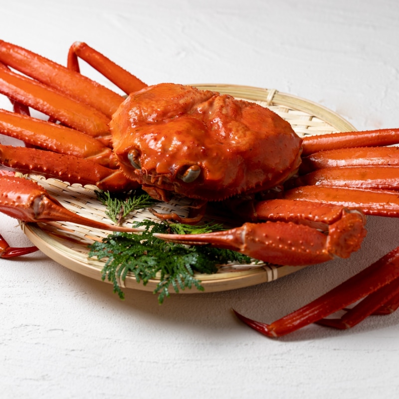 ズワイガニ ボイル ズワイ蟹 ボイルズワイガニ 480g 6尾 ずわいがに ボイルガニ 札幌 札幌中央卸売市場 北海道産