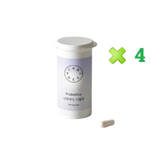 サーファーデーダブリュー 東洋女性 質由来特許乳酸菌 50億CFU 4個