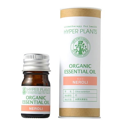 希少！廃盤】snow peak スノーピークキャンドルグラスセット 【公式通販】