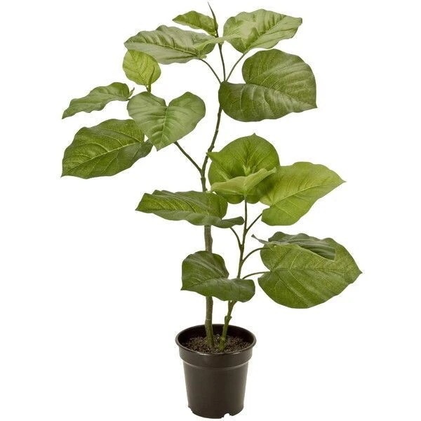 FG015100 造花 ウンベラータ SGREEN メーカー直送