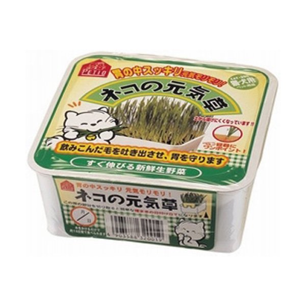 �y�e�B�I �l�R�̌��C�� 125g