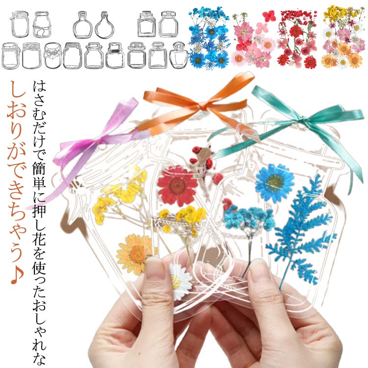 Qoo10] 20枚セット DIY 押し花 しおり ド : キッチン用品