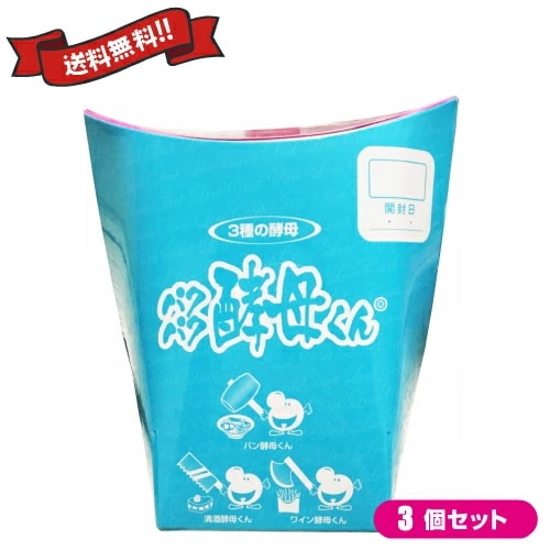 パクパク酵母くん 31袋入り 3箱セット 毎日元気 研究所 毎日笑顔