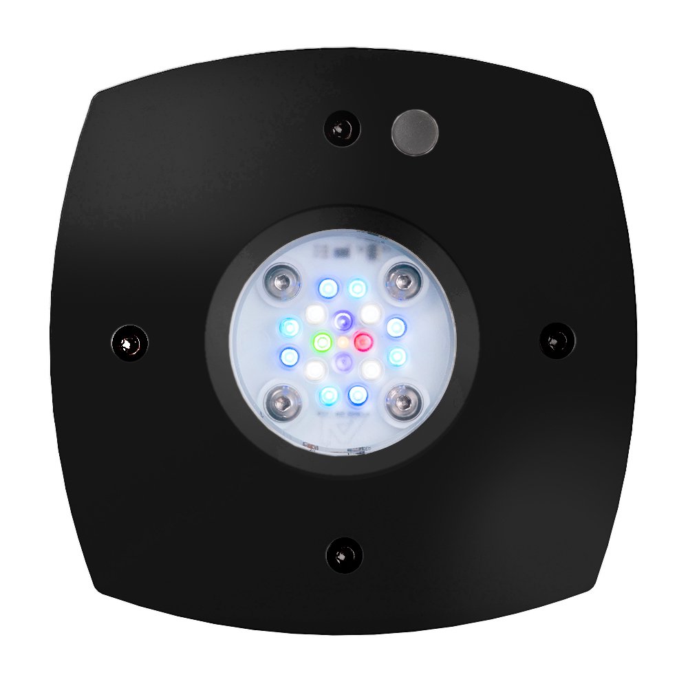 ＡＩ　ＰＲＩＭＥ（プライム）　１６ＨＤ　ブラック　ＳＰＳ・ＬＰＳ・海水魚向け　ＣＲＣ10―35―70―10―00