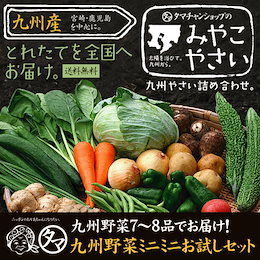 【送料無料】九州 野菜 7~8品 ベストセレクション 九州野菜ミニミニお試しセット 九州で摂れた美味しい野菜をタマチャンショップが選りすぐりでお届け!【ご当地野菜/九州】【お試しセット】