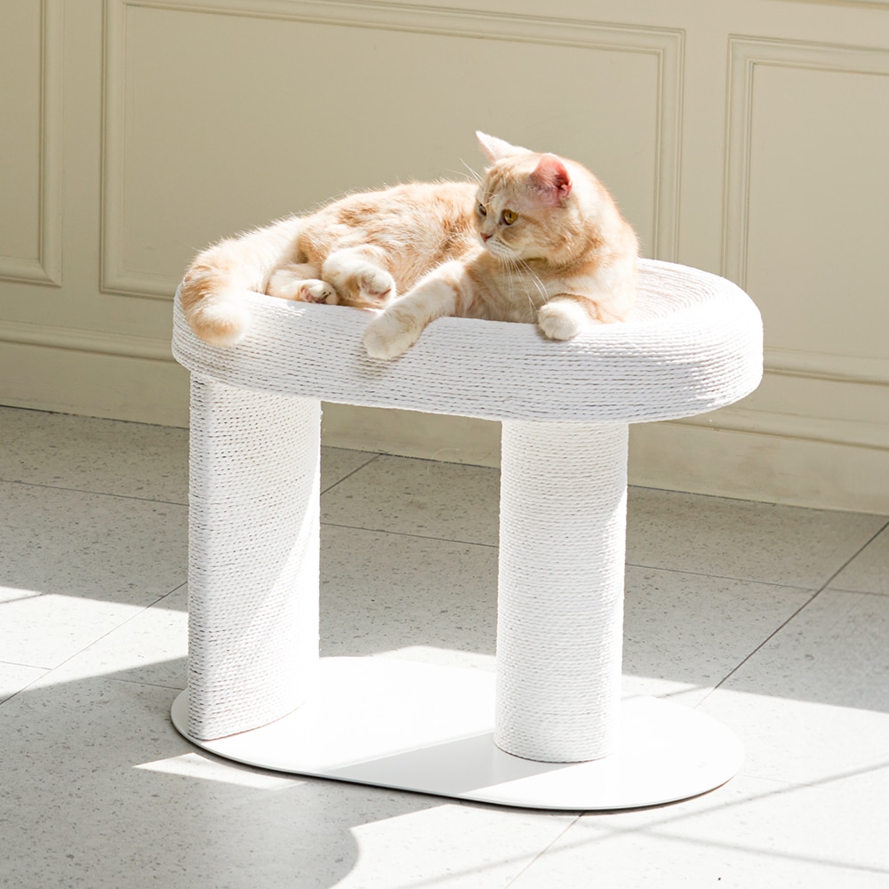 カルテノン 猫用スクラッチャー