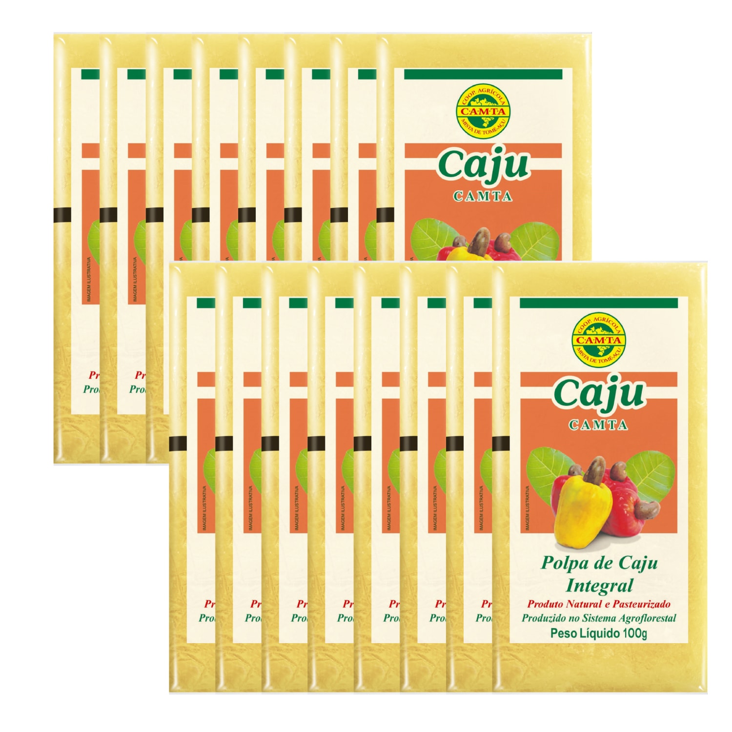 冷凍カジューピューレ 100g×16パック(4袋セット)