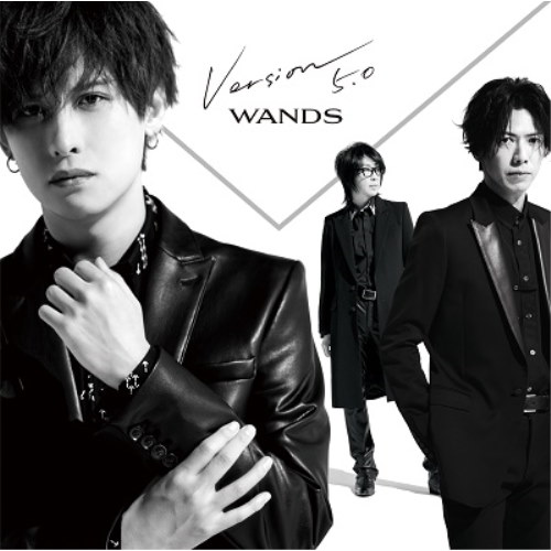 Qoo10] WANDS ／ Version 5.0(