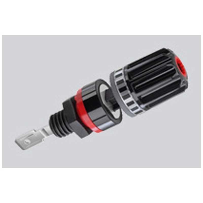 児玉希望・森白甫・竹岡原風子 静物