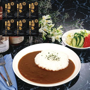 岐阜 飛騨牛 粗挽きミンチカレー 6食 180g6 【産直メーカー直送品】