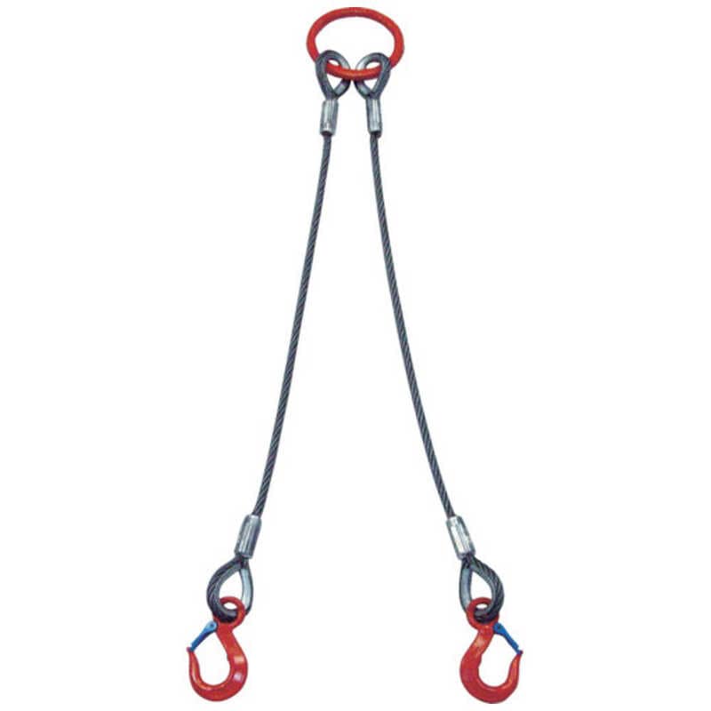 大洋製器工業　2本吊 ワイヤスリング 1t用×1m　2WRS 1T×1