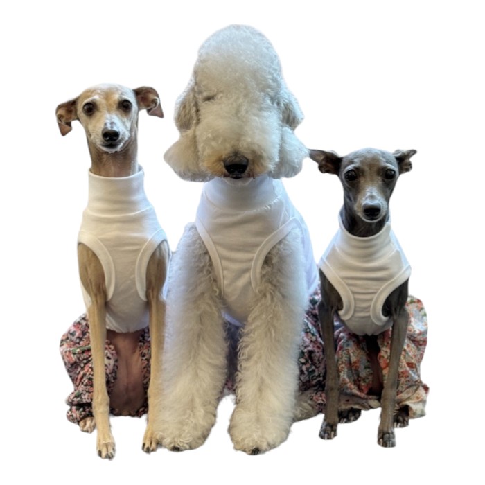 ウィペット服 3XL サルエルパンツ モンペパンツ アラジンパンツ つなぎ おしゃれ 韓国 犬服 中型犬 大型犬 春 夏 秋 冬 室内着