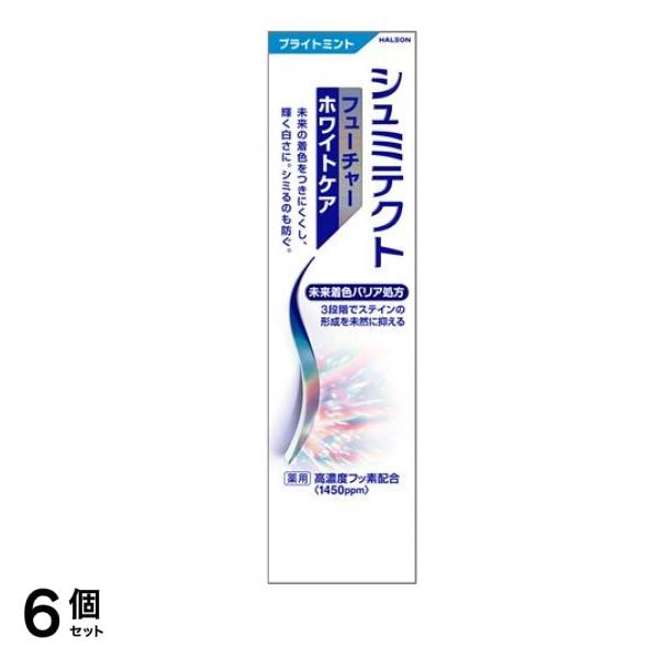 シュミテクト フューチャーホワイトケア ブライトミント 80g 6個セット